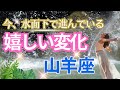 【山羊座💎今、水面下で起きている嬉しい変化】こっそり？着々とあなたに近づいている嬉しいこと🌈魔法が発動してあなたの願いが一つかないます🌈天使からの三択メッセージ