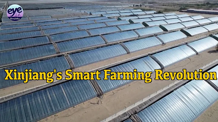 China's Xinjiang harnesses cutting-edge farming techs to boost yields