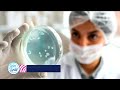Reportan aumento en propagación de bacteria en Estados Unidos | Viva La Tarde | WapaTV