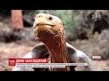 Урятував свій вид від зникнення: славетна черепаха Дієго повертається на Галапагоси
