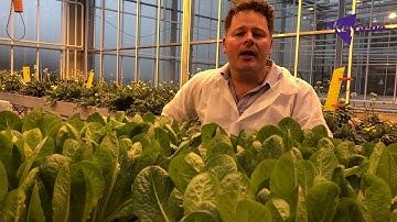 LC18 - Alexander Wittenberg Trailer