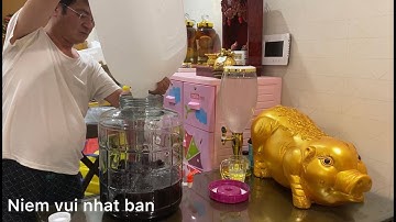 Làm rượu nếp cẩm ngâm tại nhà