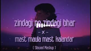 zindagi ne zindagi bhar  X mast maula mast kalandar ( Lofi   Slowed mashup )  || Lo-fi Boy Vibez