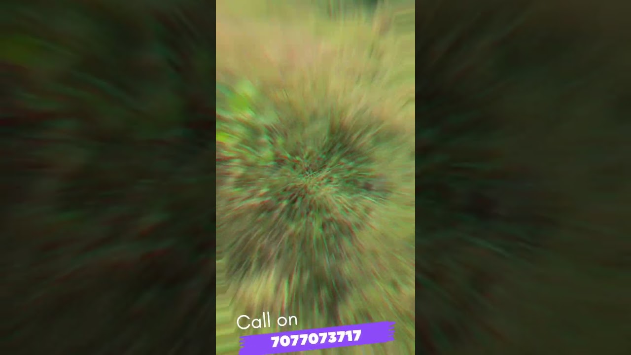 Plot For Sale at Balasore. Hot Location plot 🔥.DRDO Bypass road side plot. Balasore affordable plot.