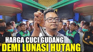 GILANYA KELEWATAN ! RATUSAN MURAI GACORAN DIJUAL SELAKUNYA, ADA PROMO BELI 1 GRATIS 1