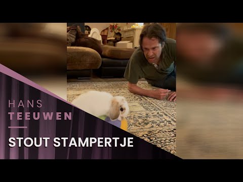 Hans Teeuwen - Stout stampertje ?