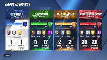 Rebounding Wing Best Badge Setup! Dominate In NBA 2K20 With These Badges!