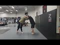 LIL BULL VS. MIGHTY MOUSE