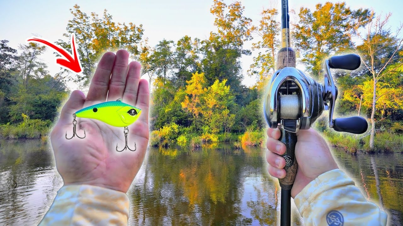 This Fishing LURE Will Catch You MORE Fish (Crazy Day)