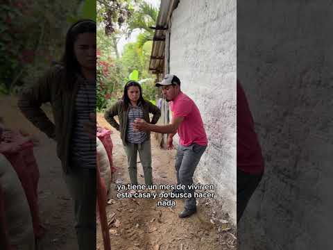 The Dead Man And The Hanger On Stink After 3 Days 