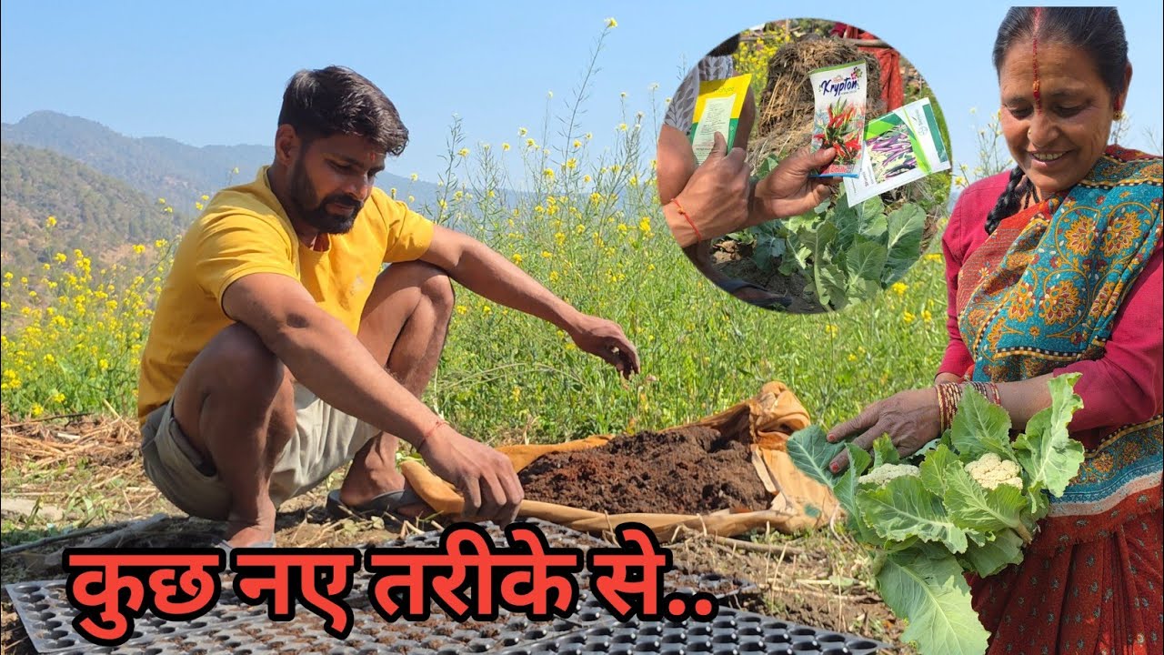 पहाड़ी काम काज || Pahadi lifestyle #dailyminivlog #pahadi #villagelife #pahadifarming 