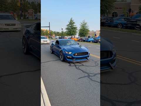 SHELBY GT350 MUSTANG EXHAUST BLIPS ARRIVING TO CAR MEET!! #shelby #gt350 #mustang #exhaust #shorts