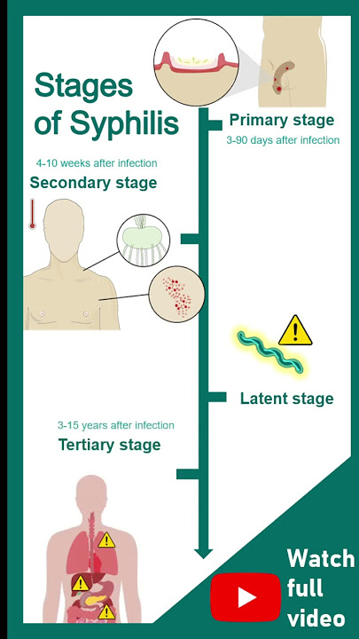 syphilis stages diagram