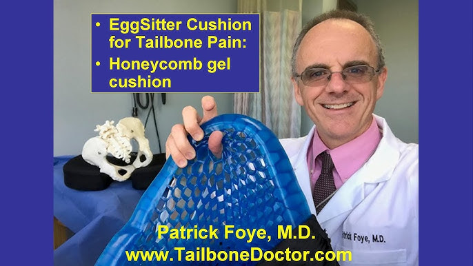 Egg Sitter Cushion For Back – Solution Experts