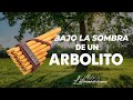 Bajo la sombra de un arbolito  | By: Kerigma Canta