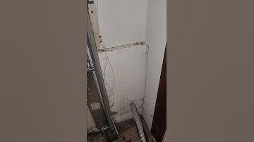 How To Use A Vacuum Cleaner To Get Rid Of Spiders 🕷️🕸️