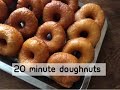 20 Minute Donuts - No Yeast - Episode 234 - Baking with Eda