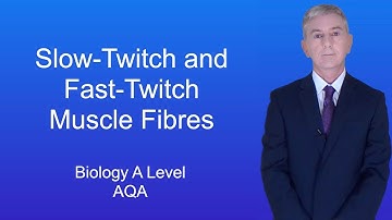 A Level Biology Revision (Year 13) "Slow-twitch and Fast-twitch Muscle Fibres"