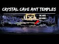 My Amazing New 'Crystal Cave Temple' Terrarium for Ants