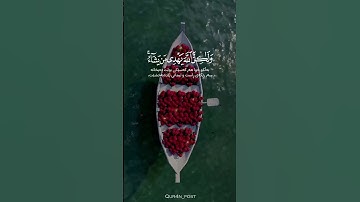 سورة القصص | القارء یاسر الدوسري | انک لا تهدی من احببت