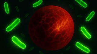 The Origin of Life: A Bacteria’s Silent Revolution