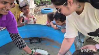 A day out to the animal park. #family #toddleractivities 