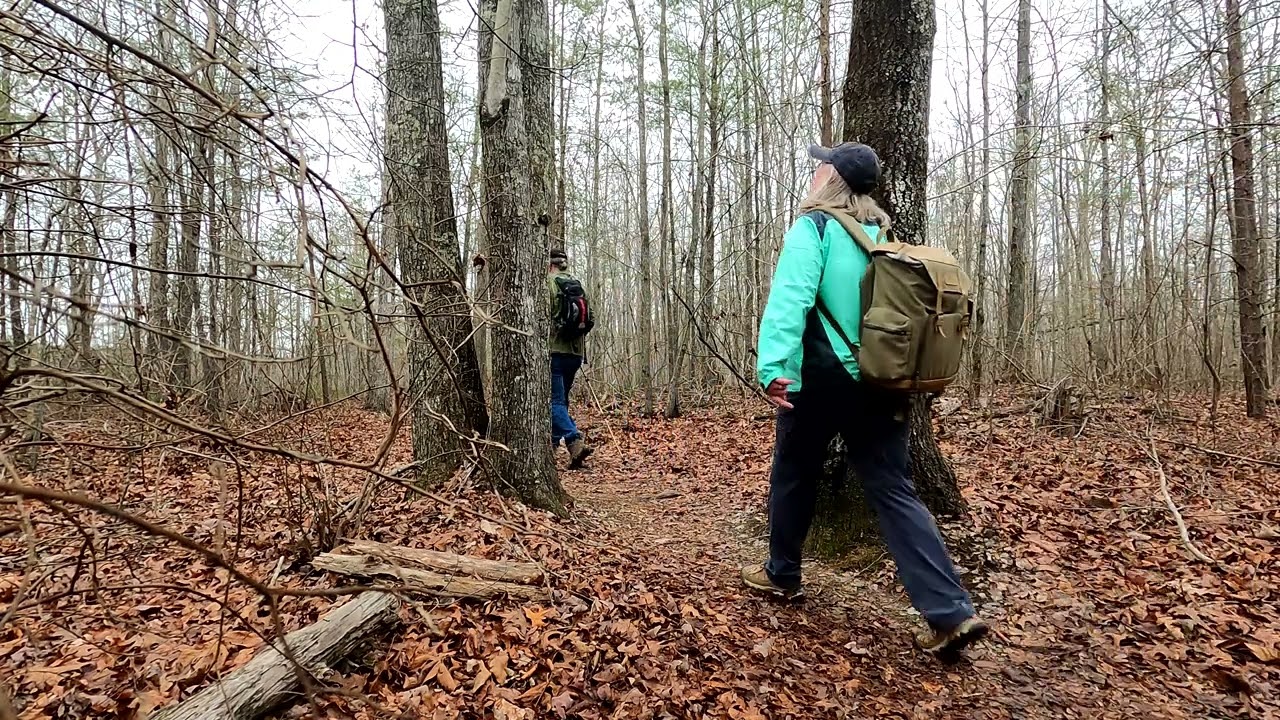 Exploring Stinging Fork Falls