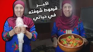 طريقة عمل القراميط في الفرن مع الشيف حلمية الشطوره اللهلوبه