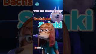 Sing 2  Sing 2 Suki  Guess Whos That Challenge greenislandclub 