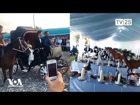 ქორწილი აფხაზურად: როგორ მოახერხა ბოევიკმა ციკნების ზუგდიდში შეწვა?
