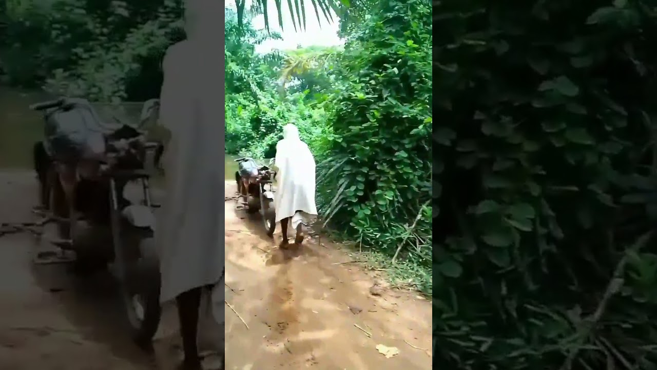 The crazy ghost prank||Prank on the village boy