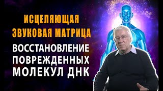 [Просто Послушай В Течение 5 Минут], Матрица Исцеляет Повреждения Тела, Восстанавливает Днк