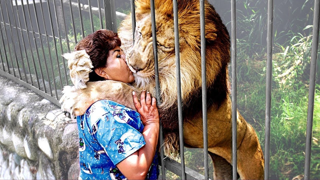 Estos animales se renen con sus dueos despus de aos!