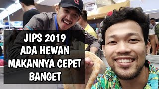 Download Lagu Pencinta Hewan Ikan, Anjing, Burung, Reptil dan lain - lain Wajib Ke JKT Indonesia Pet Show 2019 MP3