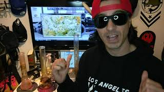 Shadows Weed Review (mohave triangle by mohave reserve)  #mohavereserve #mohavetriangle #tysonranch