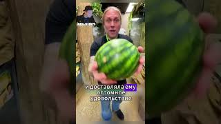 Мужчина спас броненосца застрявшего в трубе...#животные #shorts #факты