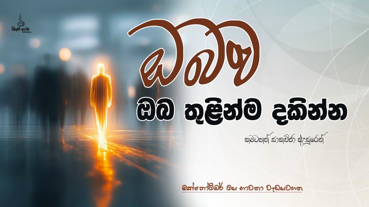 ඔබව ඔබ තුළින්ම දකින්න - Ven Aluthgamgoda Gnanaweera Thero | නිහඬ අරණ