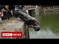 New video by BBC News on YouTube