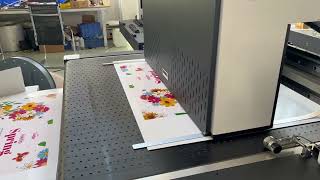 Large format single pass digital printer