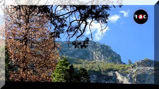 Chasing Instrumental Version ~ Sture Zetterberg