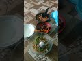 makan siang