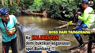 Boss Tangerang Sampai Terbang Ke Kalimantan Demi Buktikan Keganasan Spot Bambang