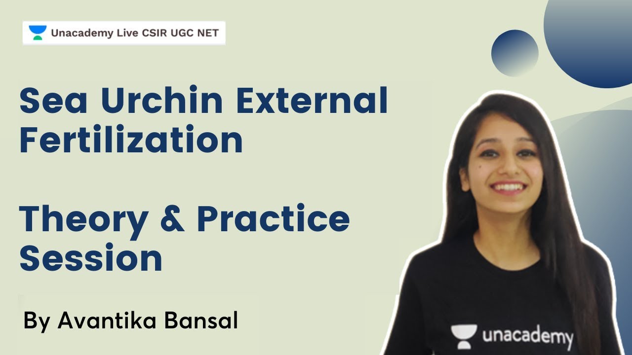 Sea Urchin External Fertilization | Theory & Practice Session |  CSIR UGC NET | Avantika Bansal