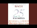 Miniature de la vidéo de la chanson Brandenburgisches Konzert Nr. 3 G-Dur, Bwv 1048: I. Allegro