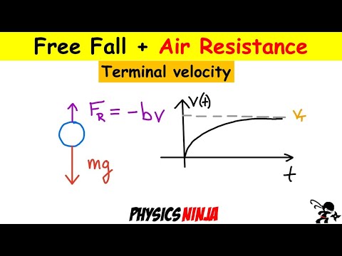 Free Fall with