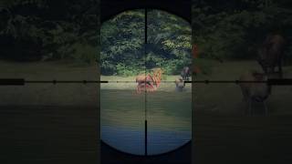 Grind de Veado Vermelho em Hirschfelden The Hunter Call of The Wild