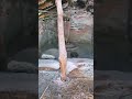 120-Year-Old Traditional Water Mill Still Running in a Himalayan Village | AncientNepalese Heritage