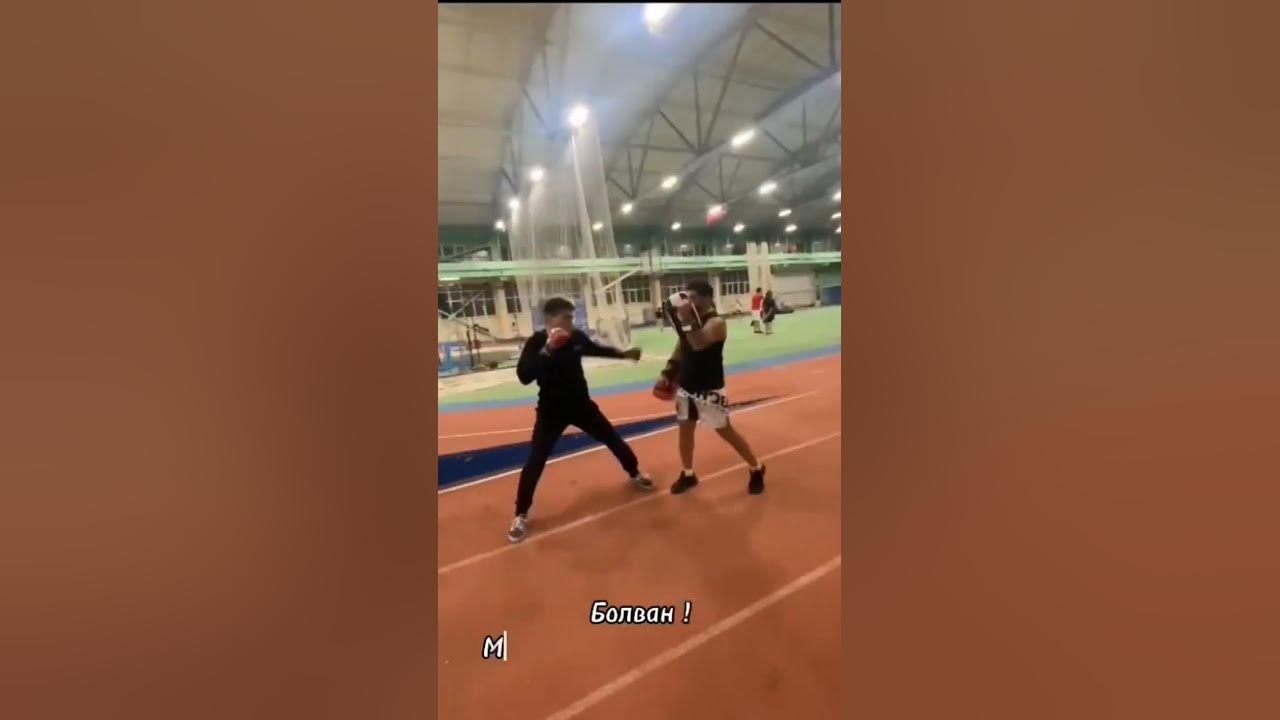 лапы с тренером #тренировки #мма #победа #тренер - YouTube