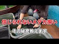 信じられないメダカ掬い！その秘密教えます