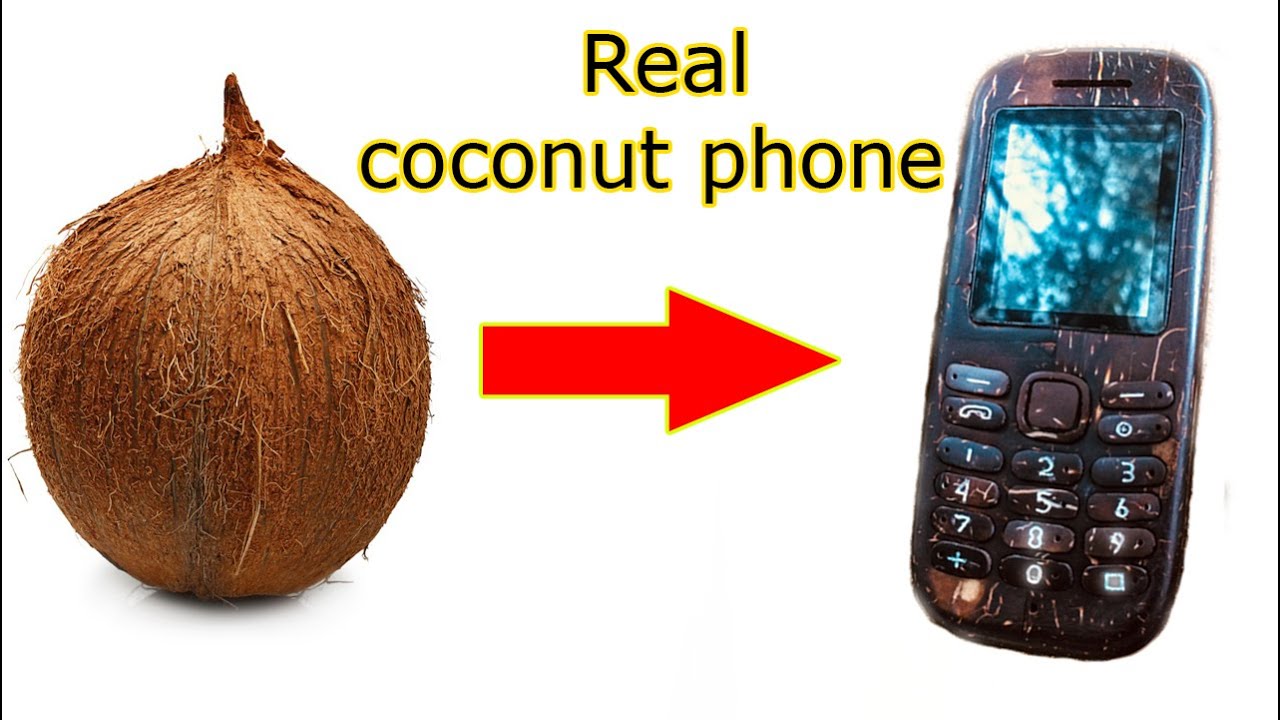 how to made coconut real phone Eco friendly phone YouTube
